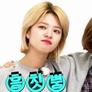 정연환경 이미지
