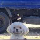 오자크(주) | 깨어나지 못할 긴 잠에 들고 싶은 낮 - 흰그루, 오자크래프트, 패스로스터스, 구덴구덴