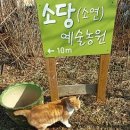 옹식구 이미지