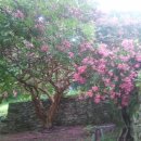 김광석농장 이미지