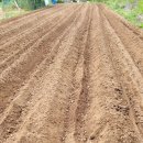 이칠농장 이미지