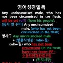 오늘의 '영어성경 쇼츠'(창 17-14강) 창세기 17장 14절(Genesis 17:14) 이미지