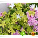 경희빛과소금한의원 이미지