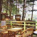 솔다람숲캠핑장 이미지