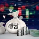 외 제 이미지