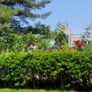 앞산 맛둘레길 바닥 이미지