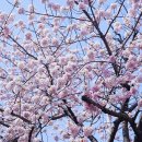 호근서호로 이미지