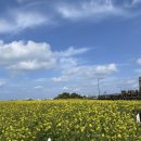 하도내음 이미지