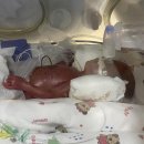 도담이네 이미지