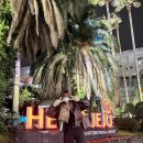[국내] 겨울 제주여행 초특가 #내돈내산 후기 (여행편)