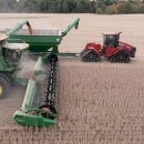 곡물이네 이미지