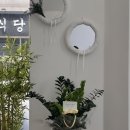 카페제드 네이버블로그
