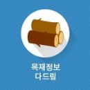 숲드림 이미지
