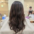 윤정헤어샵 | 수원성대역 미용실 손상머리잘하는 에이바헤어 시세이도클리닉 후기!