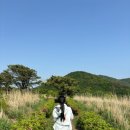 고봉민김밥인 당리점 이미지