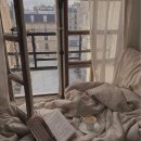 한시오분 이미지