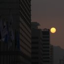 시청 별관 앞 이미지