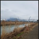 양산천변 이미지