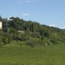 안티노리 이미지