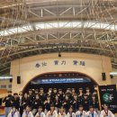 용인대 리더태권도장 이미지