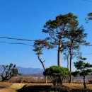 자란마을회관 이미지