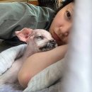 꽁지펜션 | [삼척] 산뷰 맛집인 향초목원 펜션에 갔다 왔어요_ 애견동반가능 펜션🏕