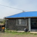 구좌농협주유소 이미지