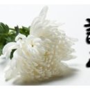 진주중앙병원장례식장주