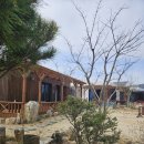 황학산비채숲펜션 | 칠곡펜션 황학산비채숲 펜션 즐거운 나들이 한 후기!