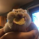 이디야커피 부산엄궁동점 | [부산] 사상 분좋카 | 사상구 조용한 카페 | 소금빵 맛집 | 엄궁동 맨투데이코어