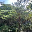 고무서리산장 이미지