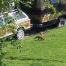 예쁜멍멍이 이미지