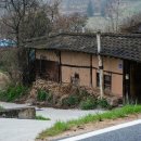구트렌드
