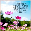 노망? 이미지