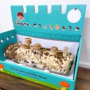 주식회사 가치채움 이미지