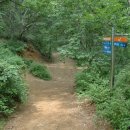 안용주골 이미지