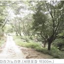 숲속의계곡