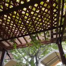 대바우가든 이미지