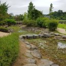 푸른수목원 이미지