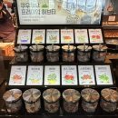 쿠우쿠우 양주옥정점
