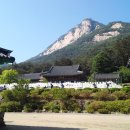 봉암사 - 1772 | 봉암사