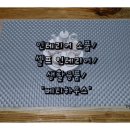 ▶울산 인테리어소품/생활용품은 &#39;베티하우스&#39; - 구매후기◀