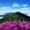 인천시 노인복지회관 이미지