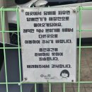 봉담읍사무소 외부화장실 | 봉담 맛집 점심 추천 신동랩 깔끔한 일식 가족식사 후기