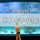 동구꽃백화점 | [대구 동구] 신천동 &#39;대구 아쿠아리움&#39; 신세계백화점 실내 데이트 장소 추천 먹이 체험 인생샷 공연시간...