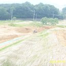 숨은진주 이미지