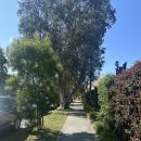 세동대중사우나 | 시드니공항 호텔 숙박 더 브랭섬호텔&amp;레지던스 장단점 후기