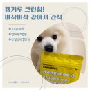고위드테일 | [고위드테일] Kangaroo Crunchips (캥거루 크런칩) 리뷰