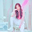 비둘기모사 이미지