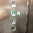 팜코리아 | 울산 파충류샵 젤리팜코리아 방문후기